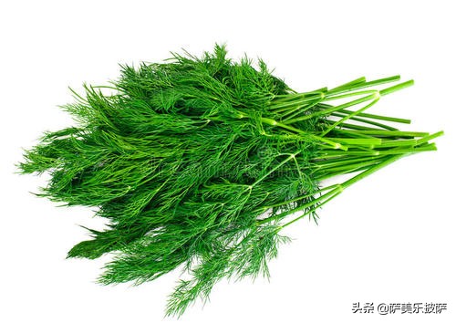 披萨用哪种香草,步骤完整的烘焙美味披萨的全攻略