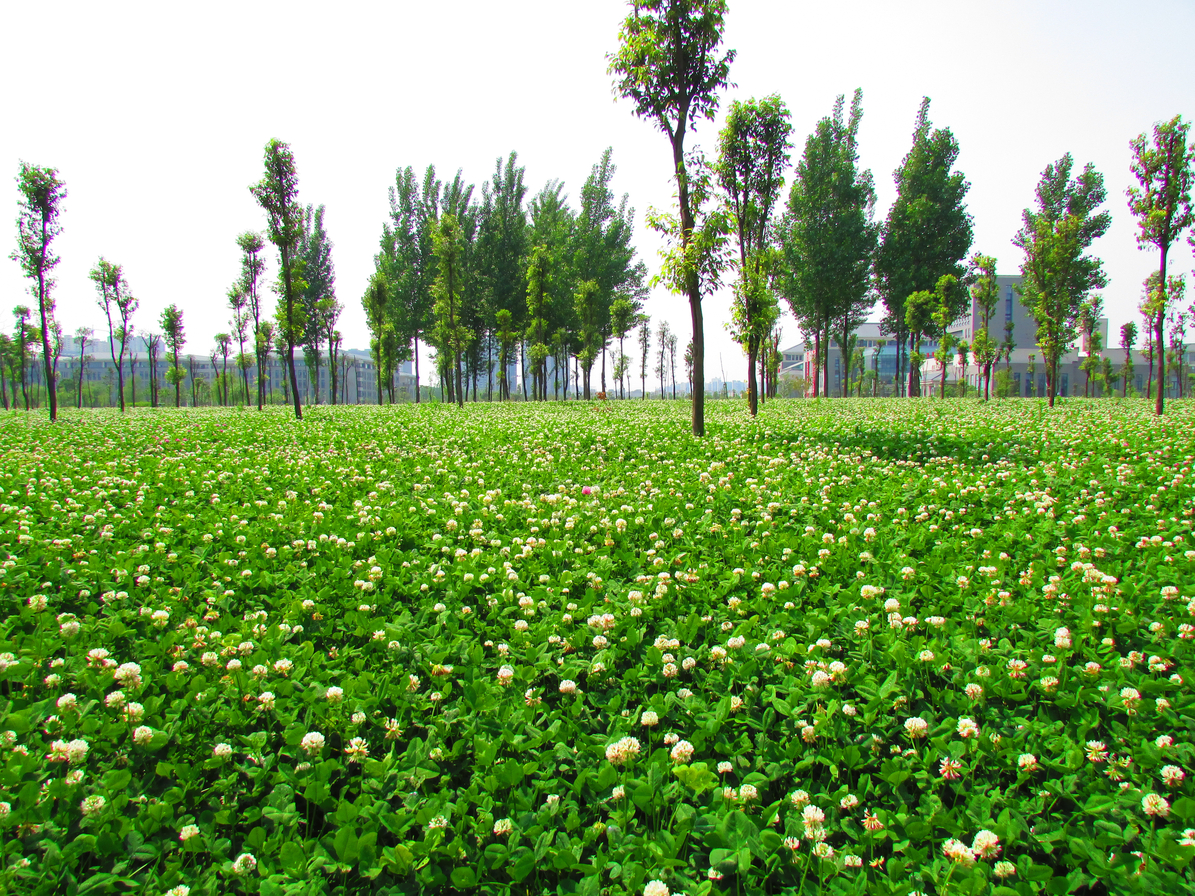 四川这两所医学院,分数线超过成都大学,未来很有可能升格为大学