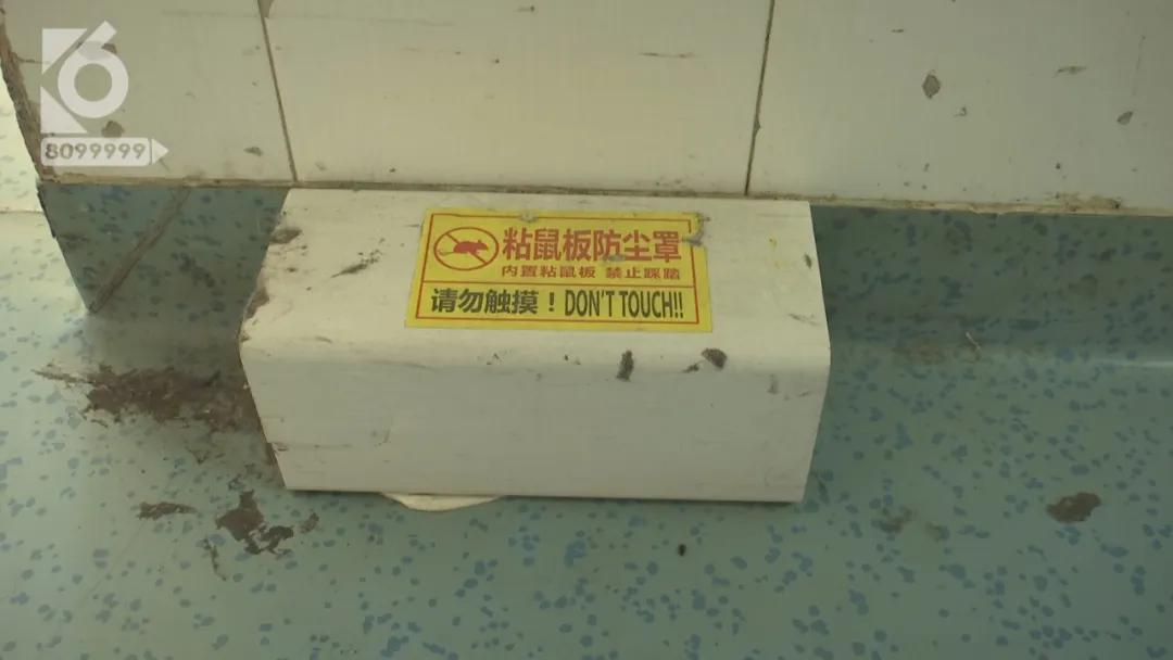 高热浑身乏力食欲不振,浑身忽冷忽热酸痛无力是新冠么