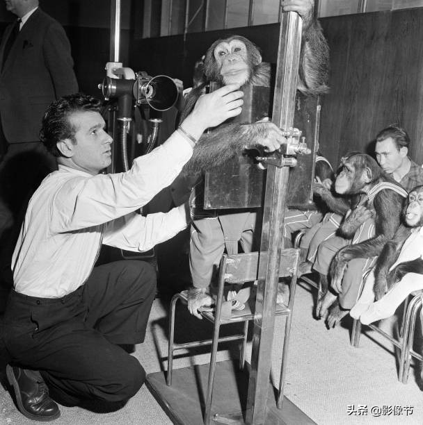 今天是个特别的日子感言,今天的日子很特别