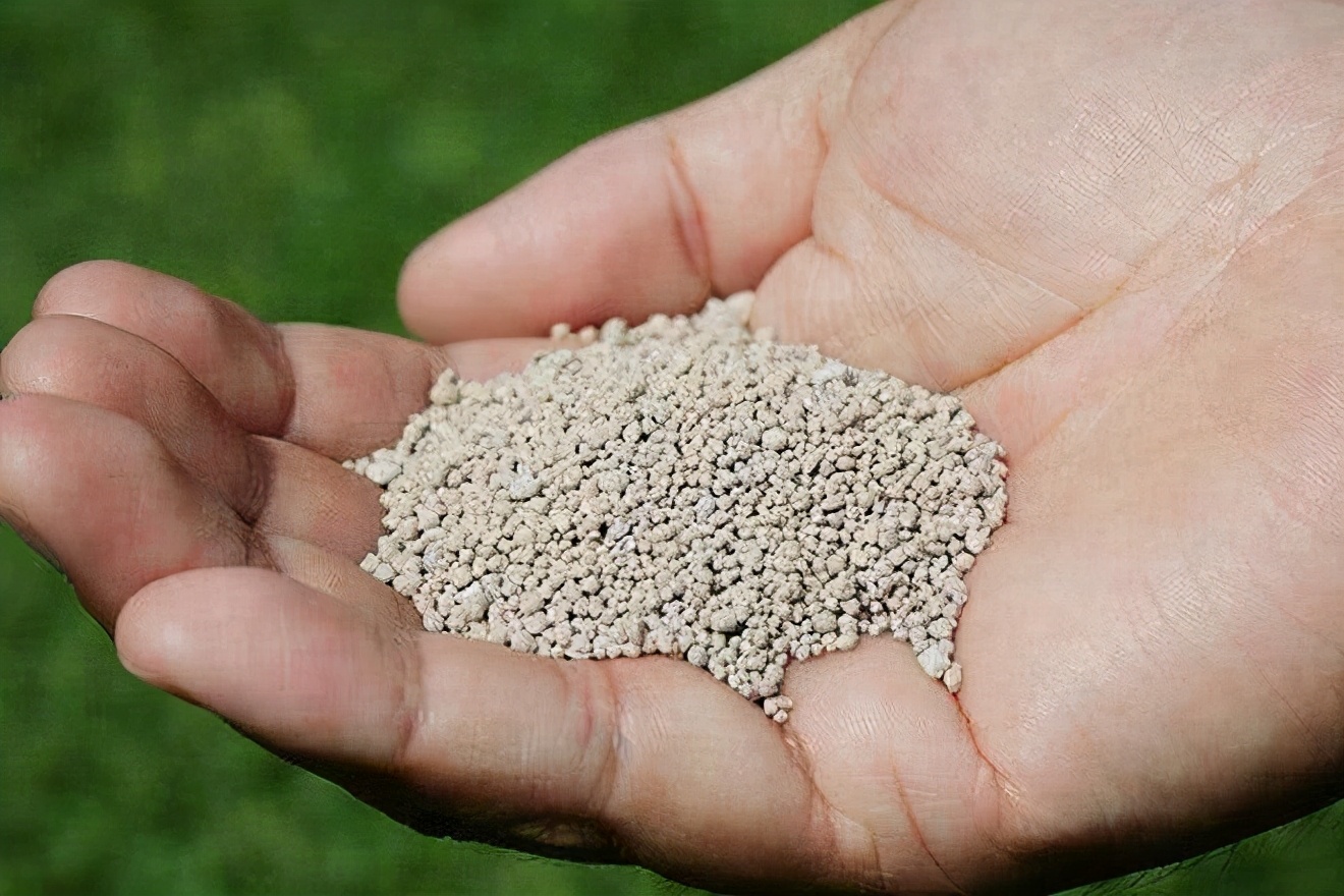 盆花怎样施肥效果好呢,花卉施肥过多怎么补救呢