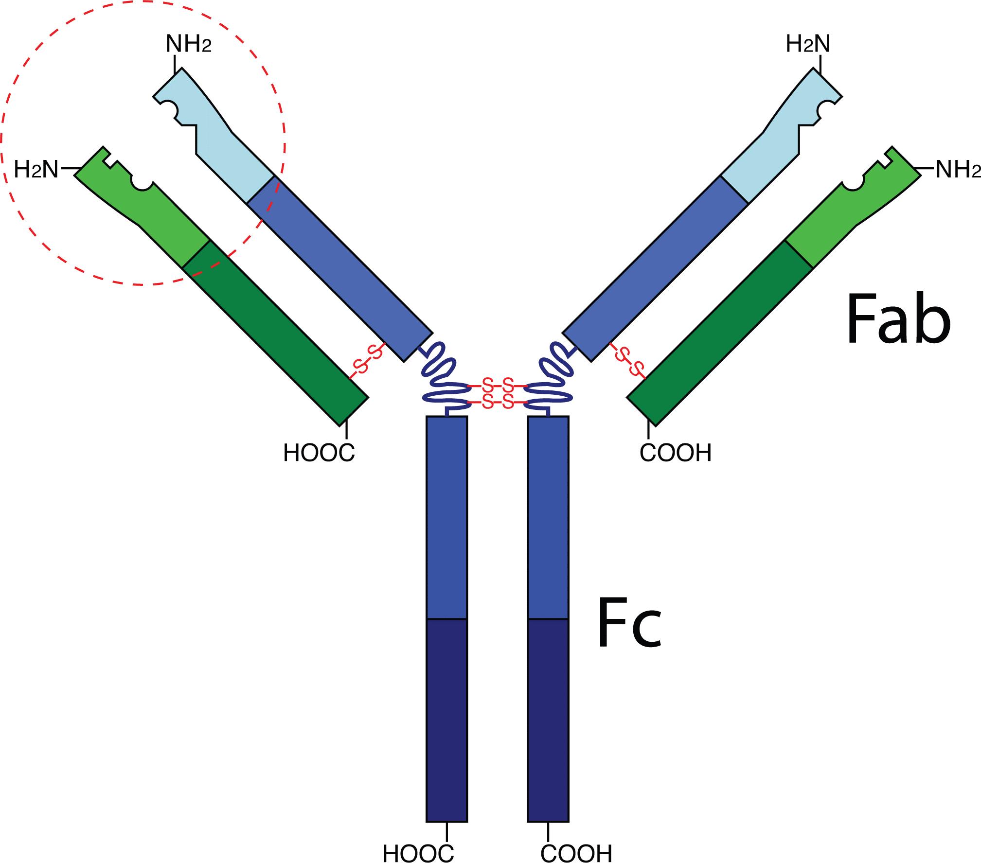 看不见的病毒,看不见的战争完整版