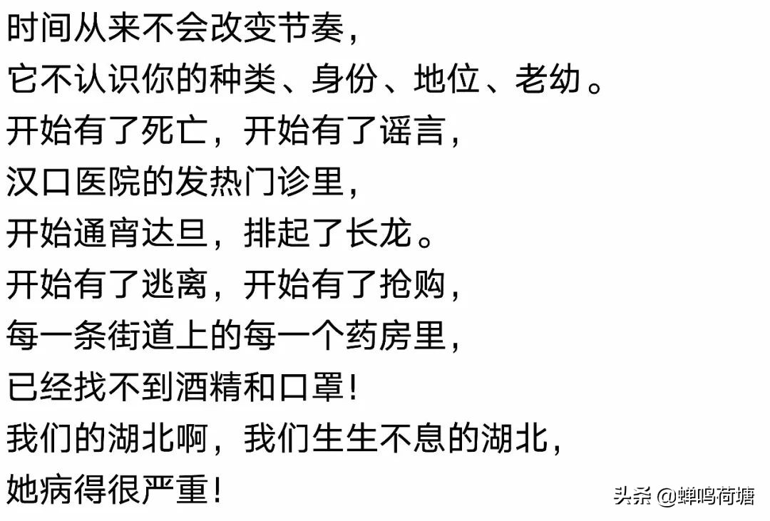 来自湖北的主播,湖北电台主持人隔空对话
