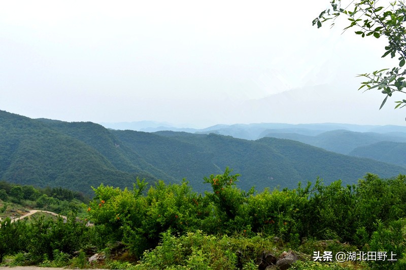 推荐的民宿采摘,浙江隐匿山野的民宿桃源仙境