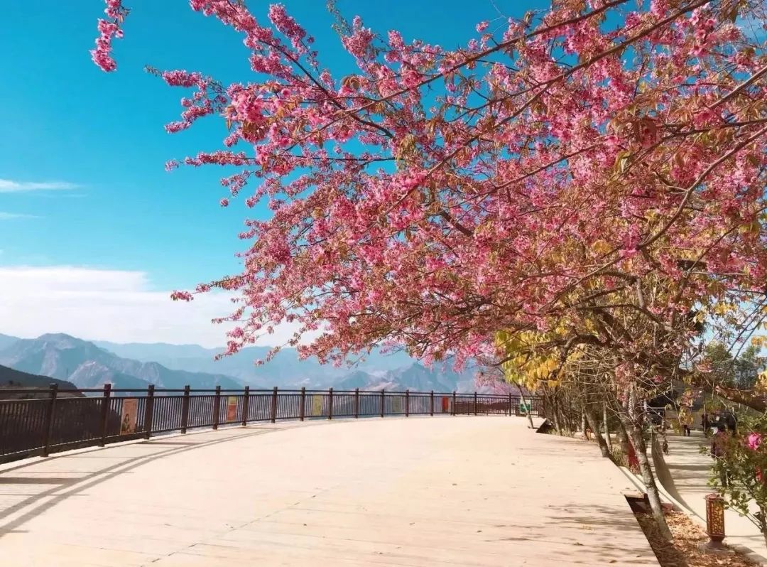 成都4天3夜旅游攻略,成都出发九寨沟川西四日小环线