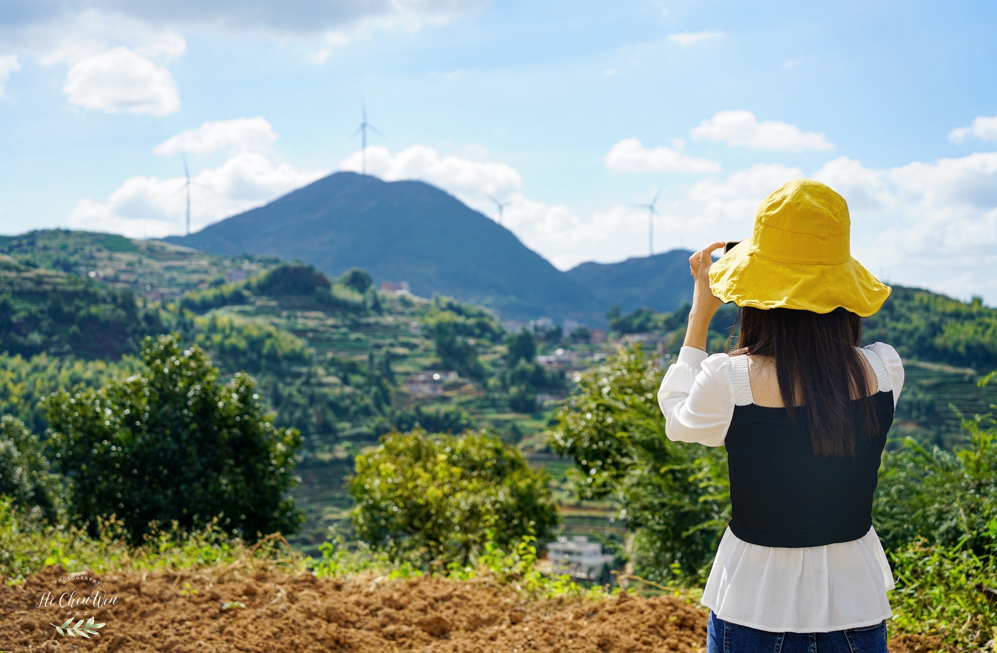中国十大品牌铁观音茶叶,铁观音福建中国十大名茶