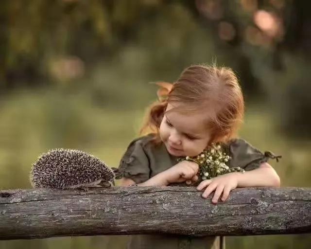 情人节卖花时间段,情人节卖花术语