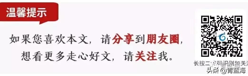 班主任工作实录范文大全,高中班主任工作经历内容200字