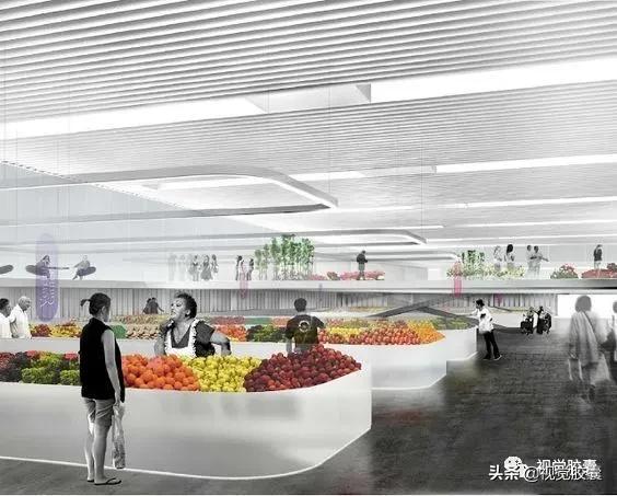 乡村蔬菜大棚的设计,蔬菜精美设计图片