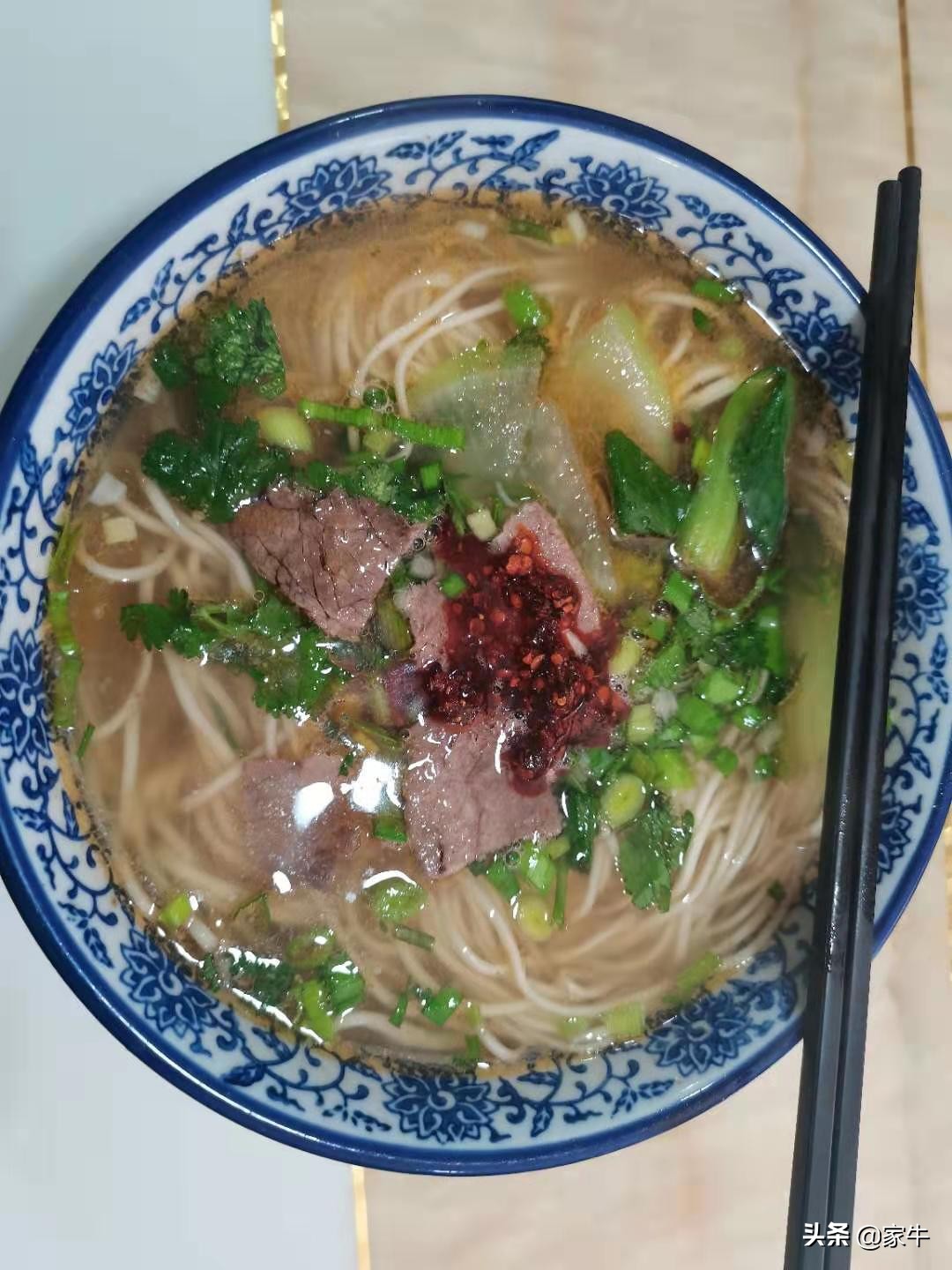 家牛的宠物龟、草金鱼、仙人球日志第323日