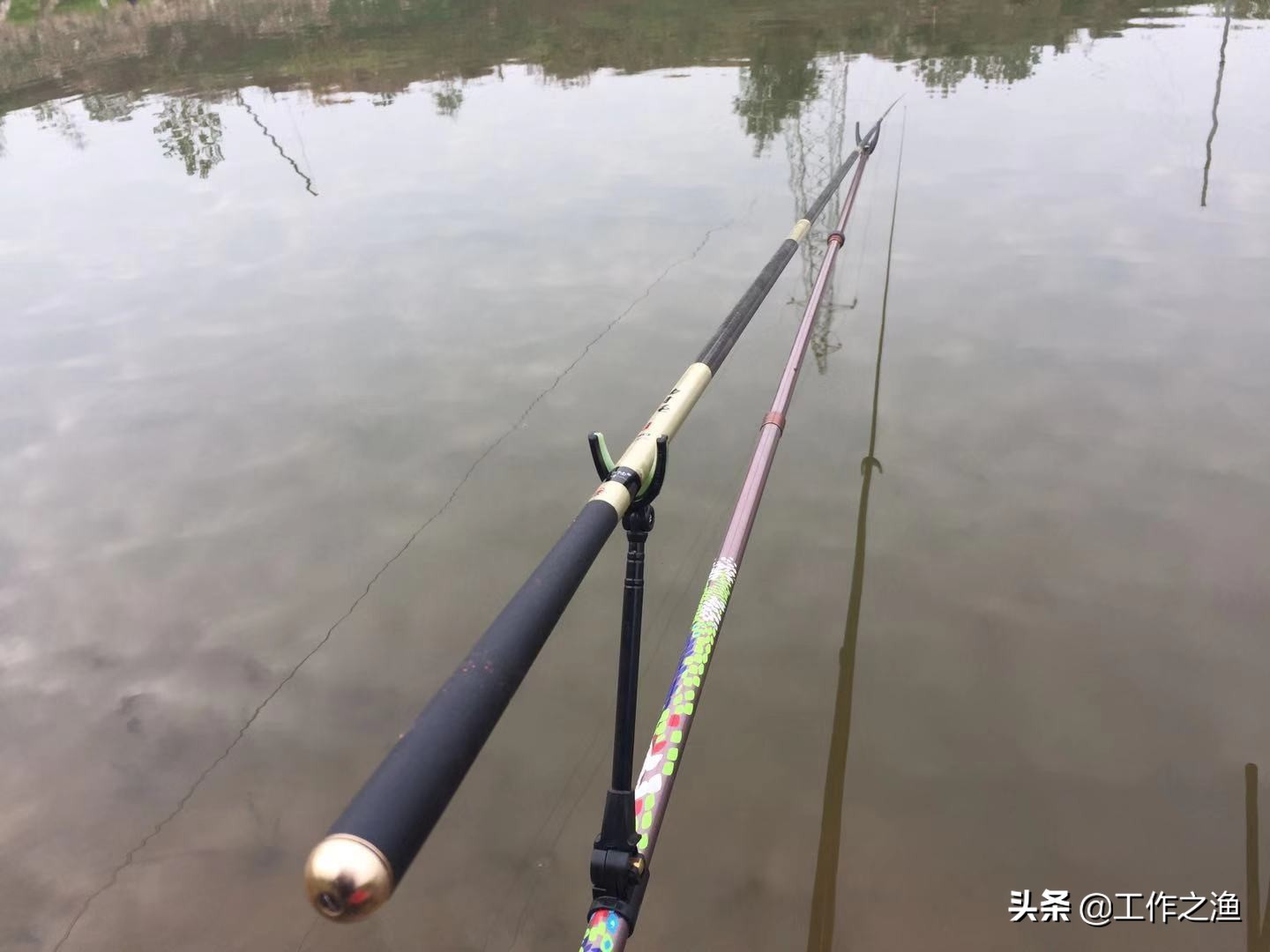 夏季鱼上浮水面该怎么钓,初冬温度升高鱼上浮
