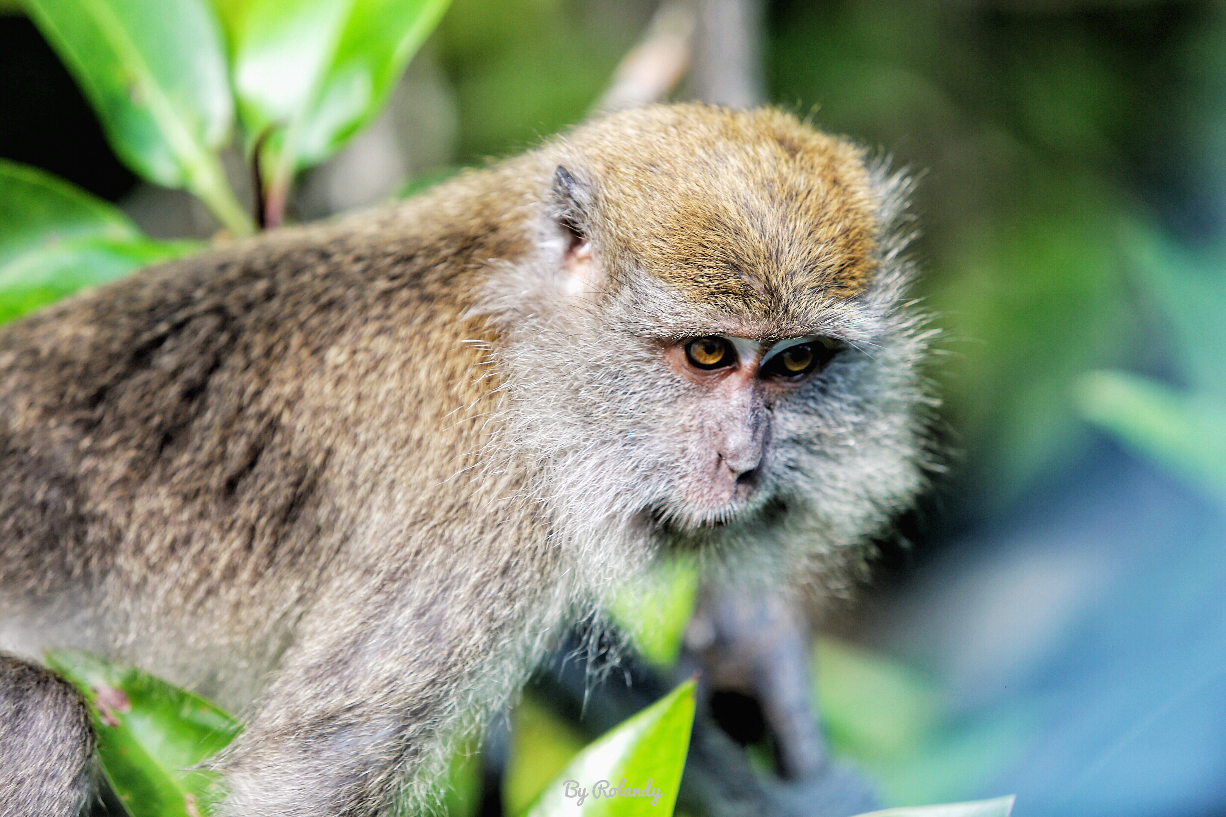 民丹岛最佳旅游季节,民丹岛旅游价格