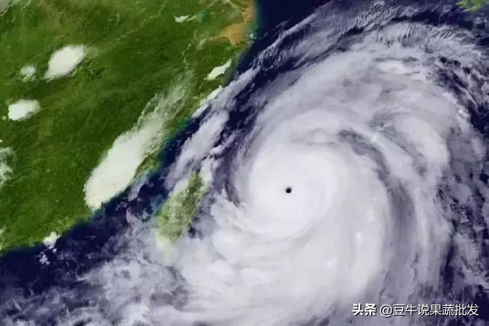 2019年水果滞销,2019年今年哪些蔬菜滞销