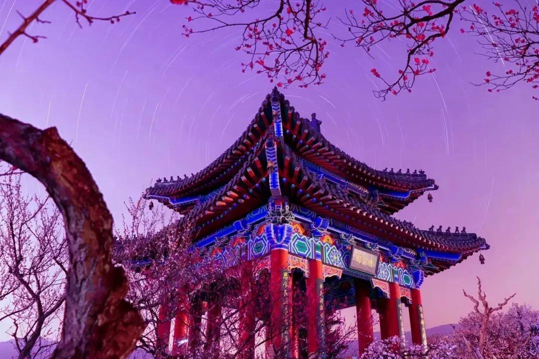 斩获全省大奖，各种惊喜不断！南京宝藏大学，这些花式社团含金量“超高”！