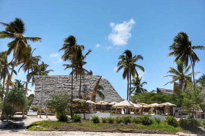 坦桑尼亚之旅,坦桑尼亚东非草原