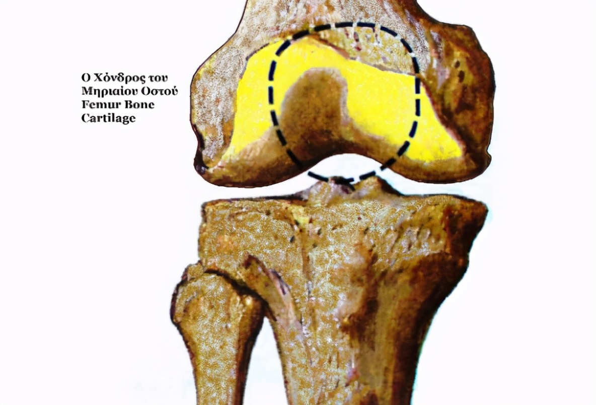 膝盖上楼发软无力但不疼痛怎么办,膝盖无力走楼梯发软是怎么回事