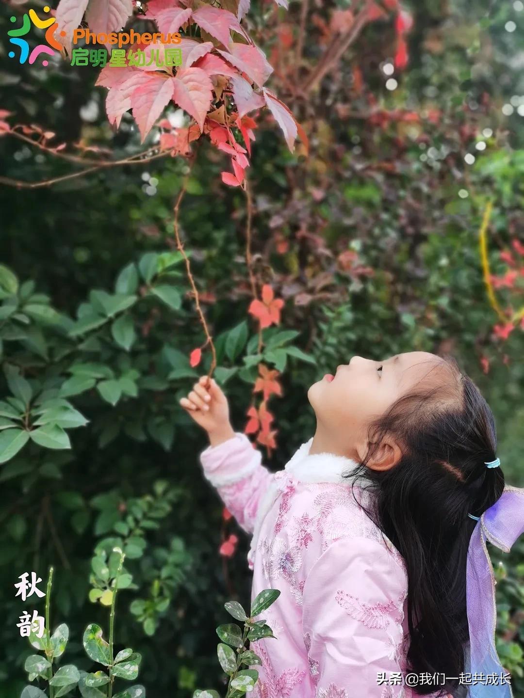 寻一抹秋色，遇一片美好：济南市启明星幼儿园的秋之美
