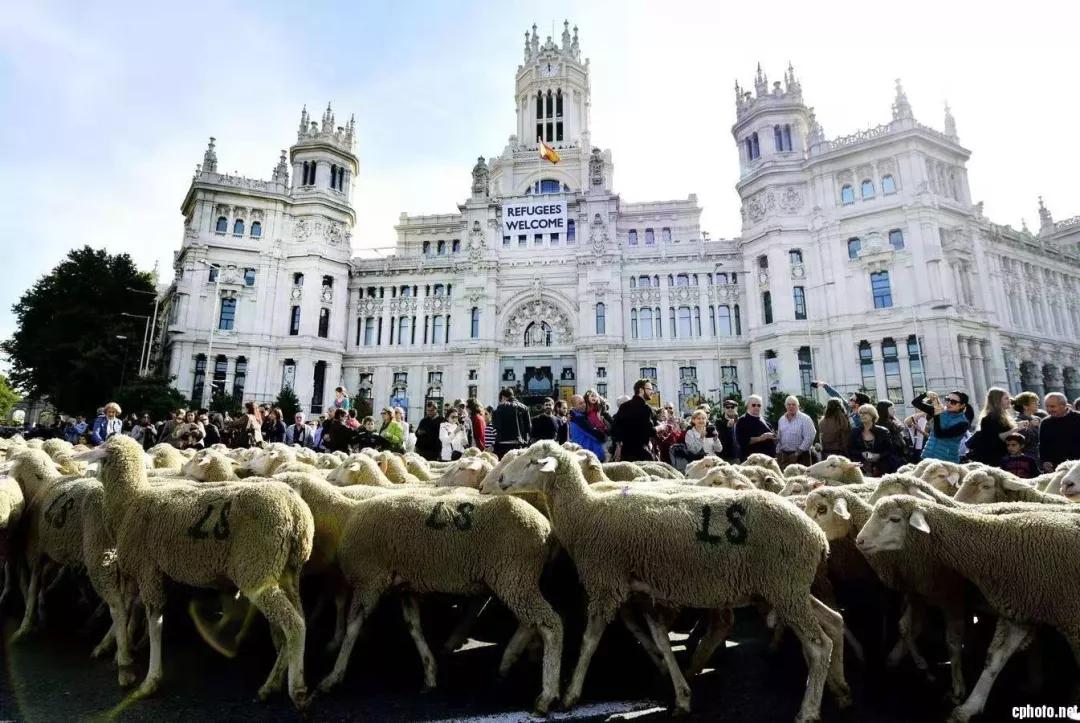 全球十大羊奶粉品牌排行榜10强,排名前十的进口羊奶粉品牌是哪些