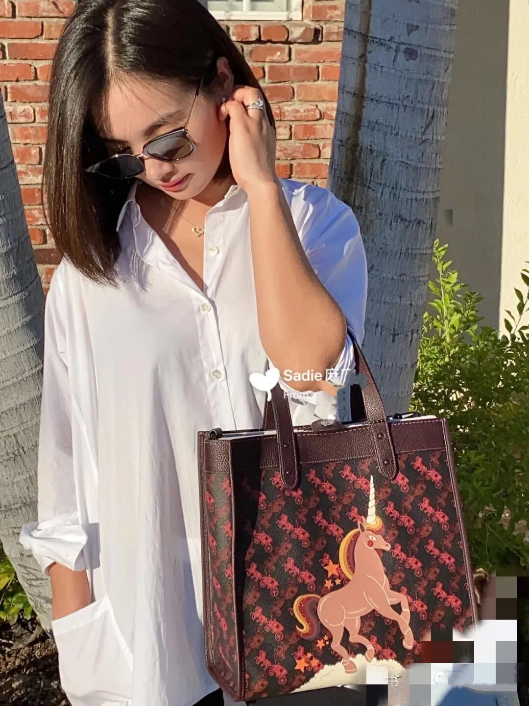 coach蔻驰男包最值得入手,coach蔻驰老虎包