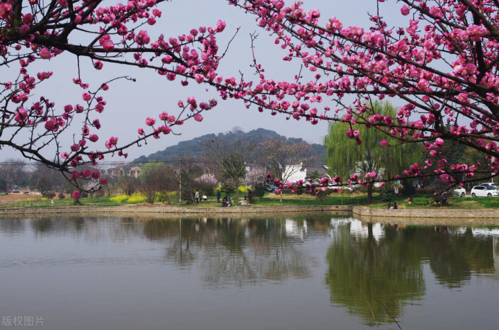 五一自驾游推荐景点武汉,武汉适合周末出游的地方