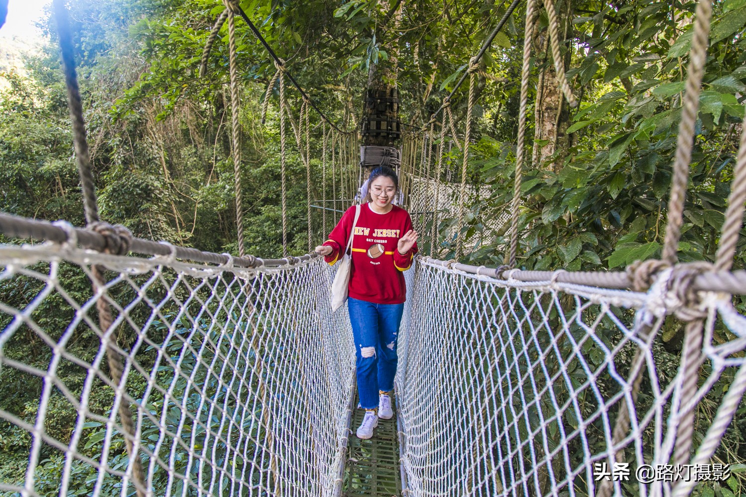 海南和西双版纳的真实感受,海南和西双版纳哪个适合养老