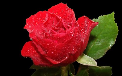 餐厅服务工作站流程