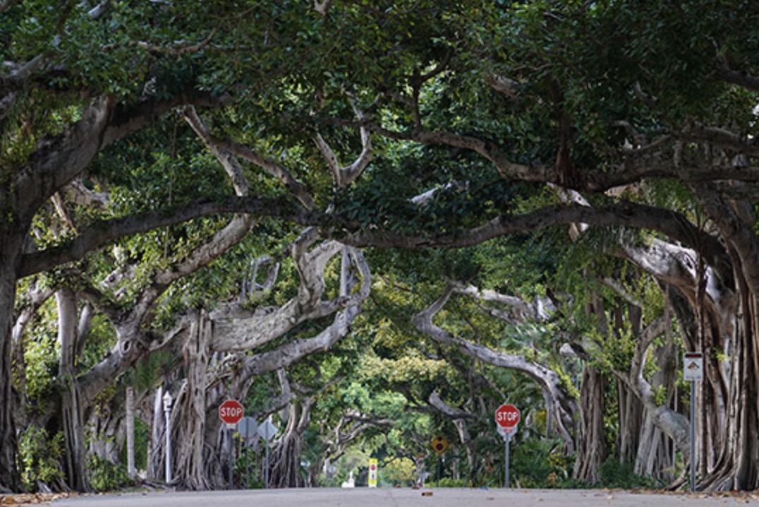 索尼黑卡7代什么时候出,索尼第七代黑卡相机