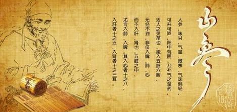 现在人参和古代人参,中国人参文化介绍