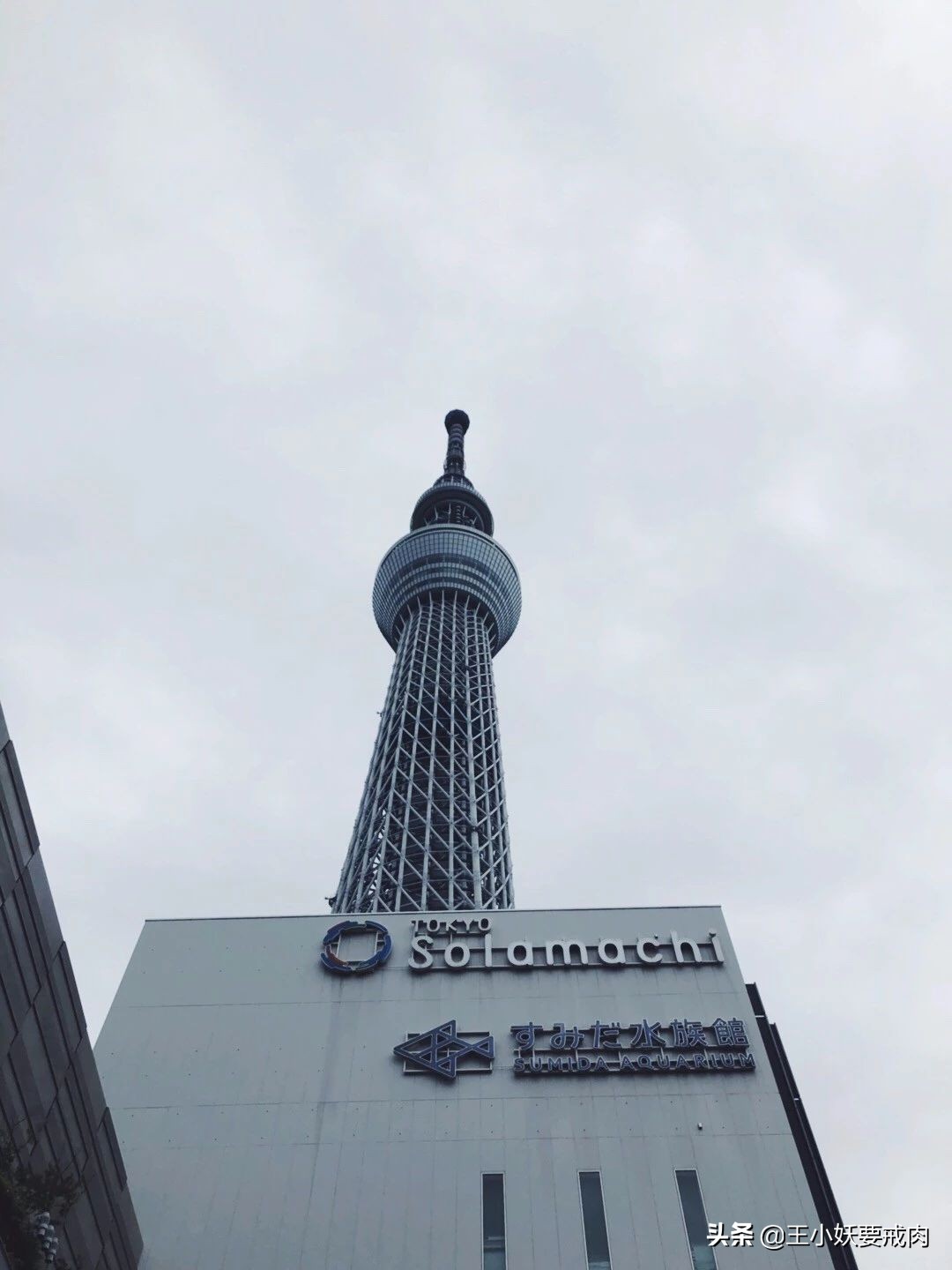 日本自由行攻略7天旅游,日本自由行攻略十大必去景点