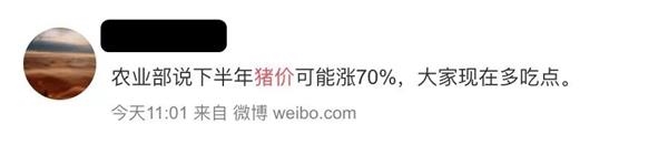 飞天猪最新新闻,猪肉股全线暴涨猪价要涨的信号