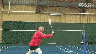 金秋诗画（学羽精华33.发力技巧）