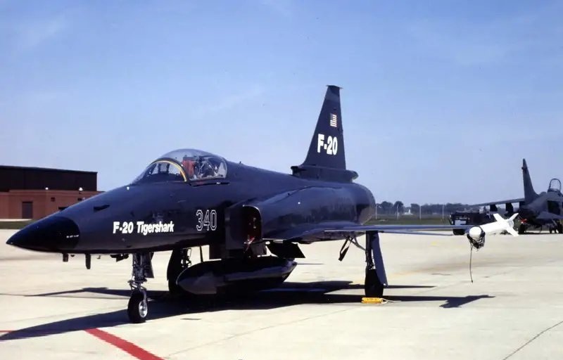 虎鲨悲剧,极富悲剧色彩的虎鲸