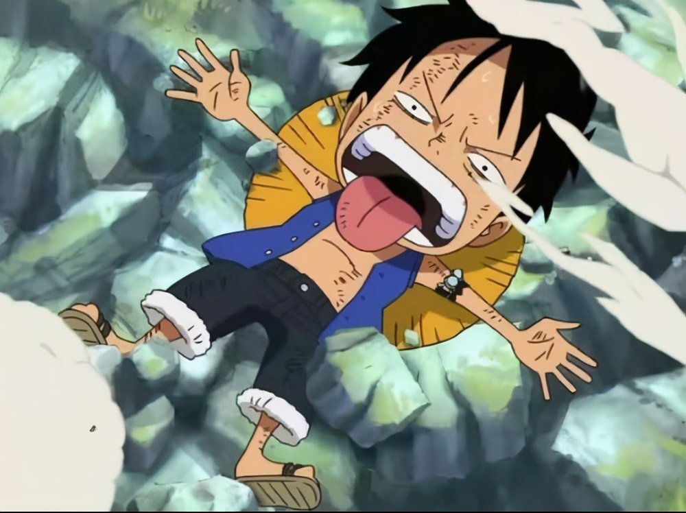 橡胶果实6个最强形态,橡胶果实为什么最厉害