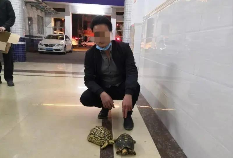 “金”屋藏“娇”？五金店竟敢偷卖这些精灵宝贝！