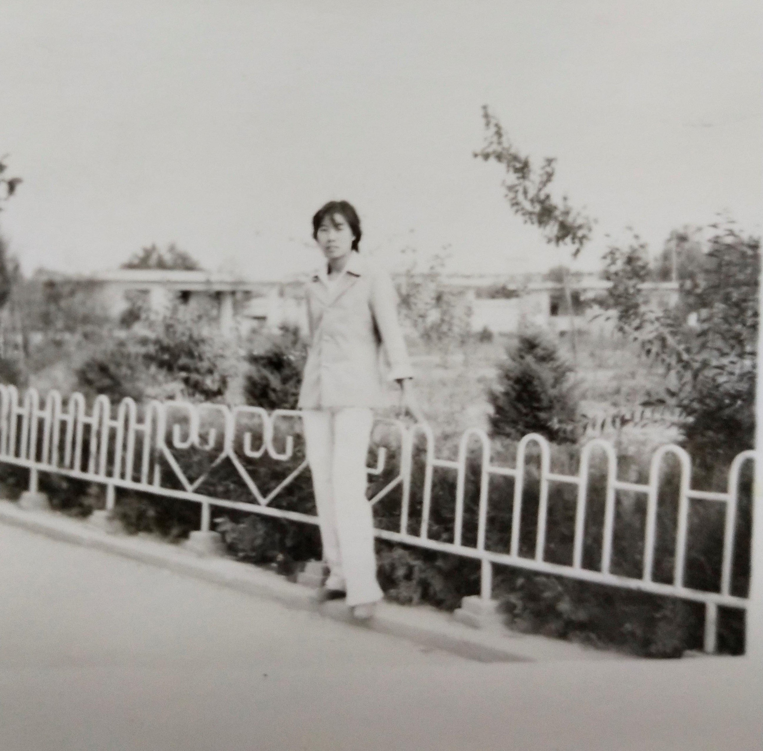 刺猬开花视频,刺猬开花的寓意