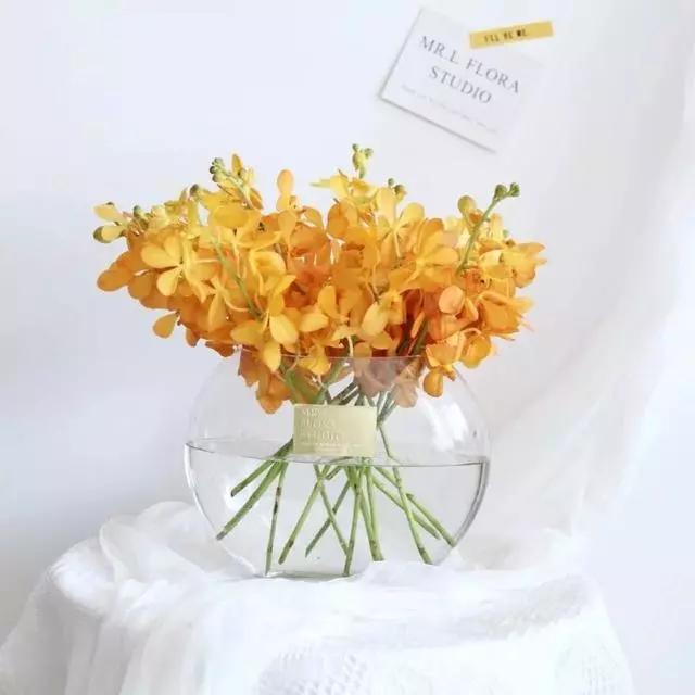 过年家里摆什么植物好,家里过年要摆几样水果