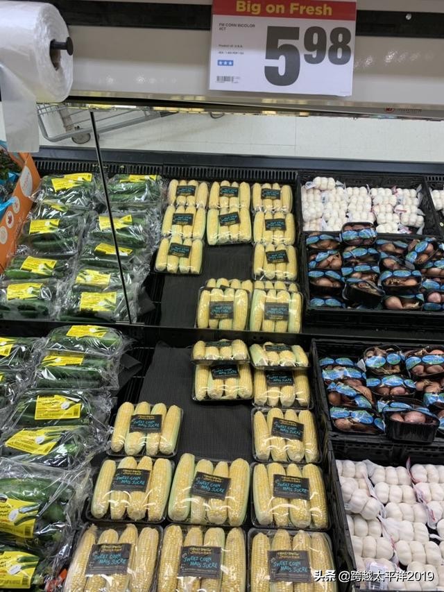 加拿大多伦多costco购物必买 (加拿大必买超市)