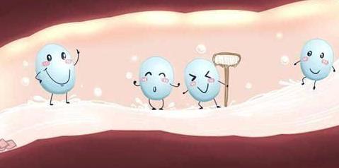 狗狗呕吐狗粮怎么回事,狗狗吐了狗粮要怎么办呢