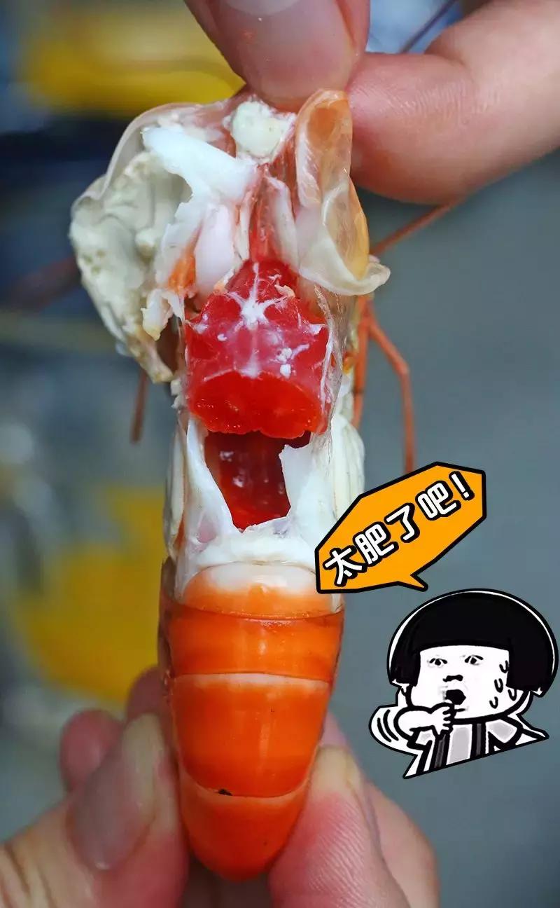 厦门90海里蒸汽海鲜自助,厦门岛内蒸汽海鲜自助