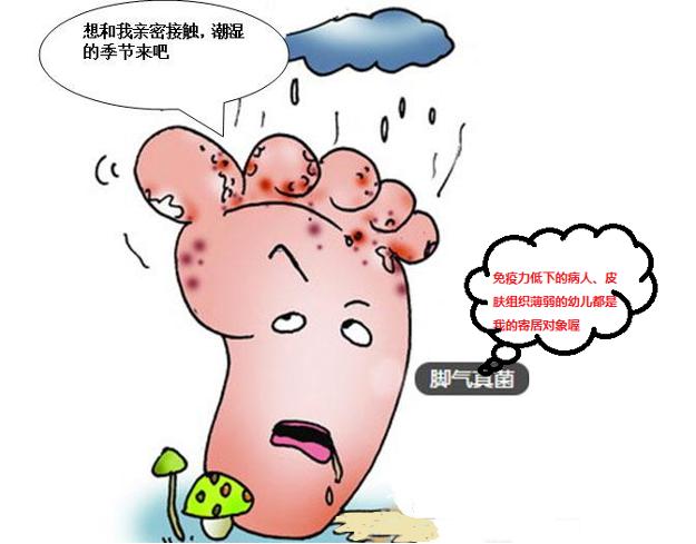 足癣中医病因,足癣治好案例