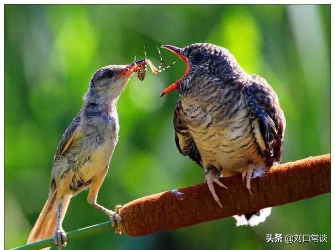 已经三十岁了，父母还不愿意给我买车，该离家出走吗？