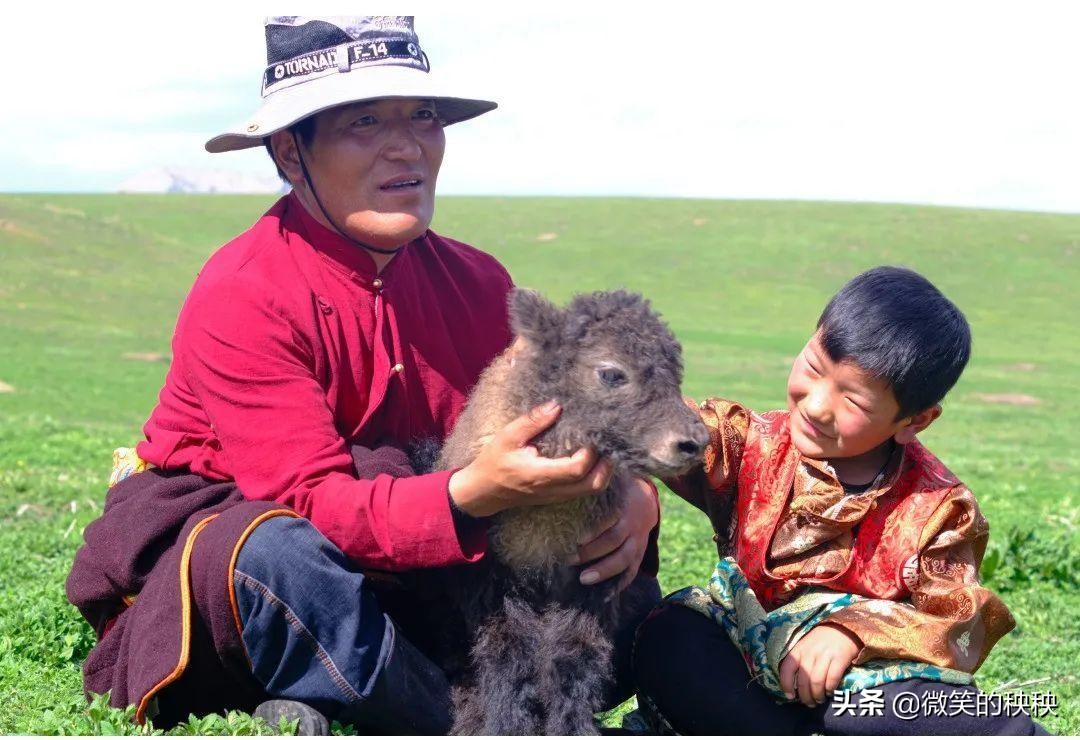 今年秋冬,雅莹送牦牛绒C位出道!让优雅服饰多一份爱的温度