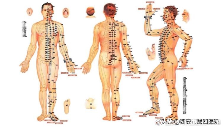按穴位快速止痛,点穴位止痛