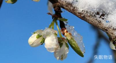 杀猪盘被识破后为何还找我聊天,白领遇杀猪盘20天被骗407万