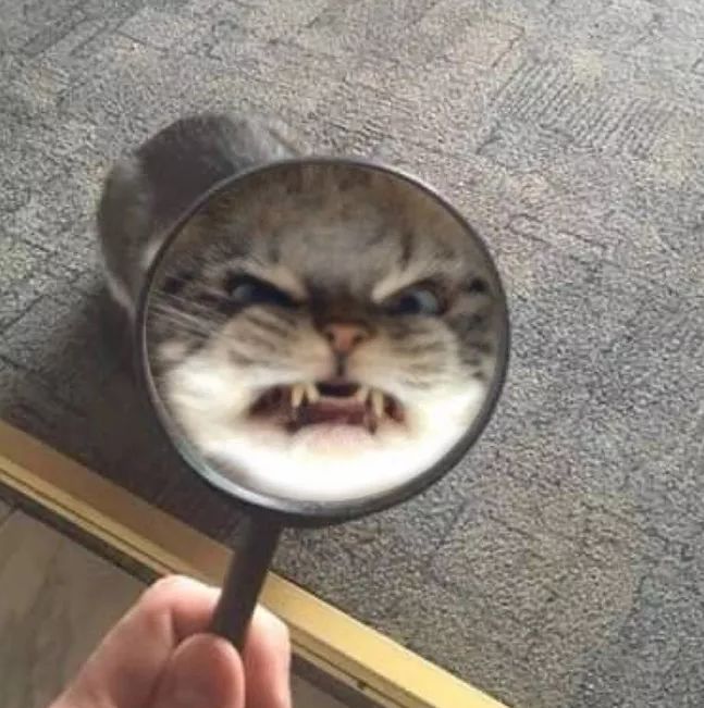 怀疑自己被当“备胎”了?发“3条QQ”试试,回答错误直接拉黑