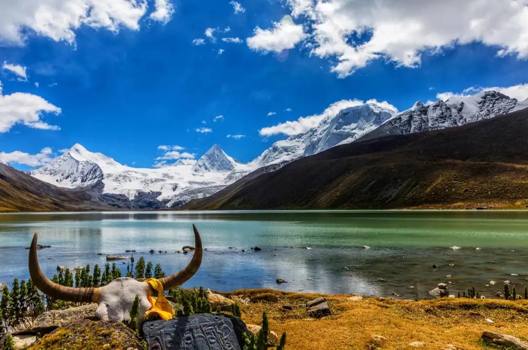 借代修辞手法诗句例子,诗歌借代修辞手法例子