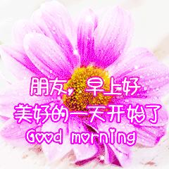 早安问候语正能量的短句和祝福语,吸引人的早安朋友圈早安文案带图