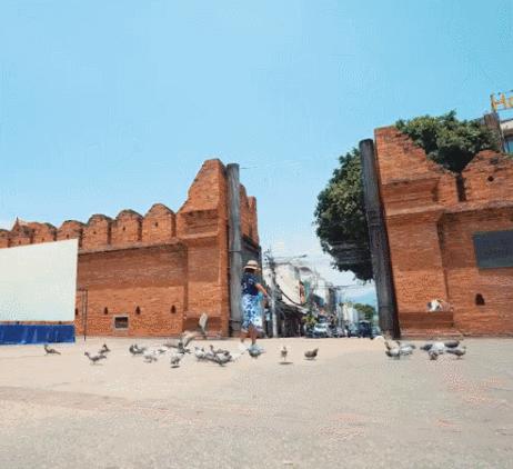 手机拍照各种场景下的拍摄技巧,手机相机拍照真实技巧