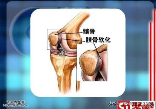 中医讲腿粗是什么原因,中医腿摸着硬说明什么