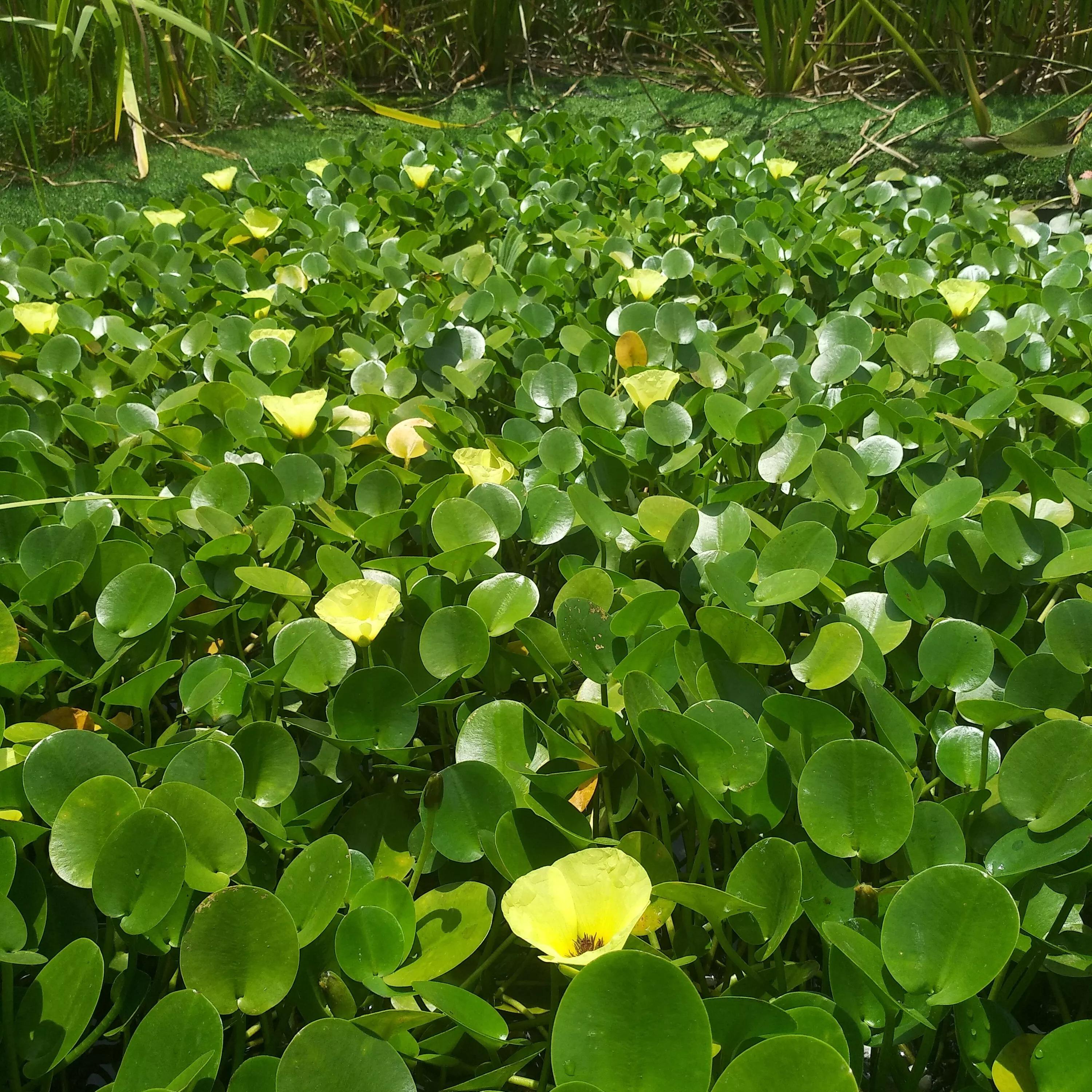 高考后想学临床医学,高考后想学中医